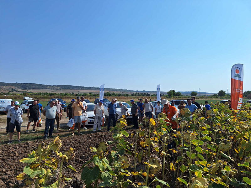 Открит ден на пролетните култури с KWS в с. Гецово