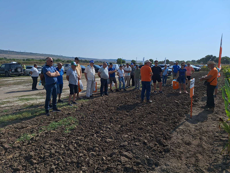 Открит ден на пролетните култури с KWS в с. Гецово