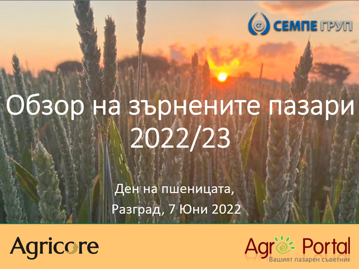 ДЕН НА ПШЕНИЦАТА
